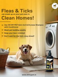 Pet Grooming Products