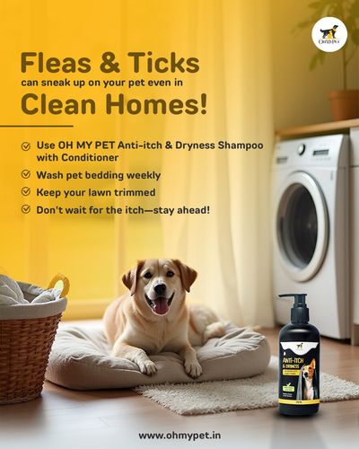 Pet Grooming Products