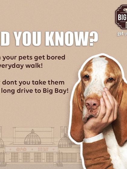Even your pets get bored of the same old walk. This graphic humorously suggests a long drive to Big Bay as the perfect change of scenery for your bored pup.