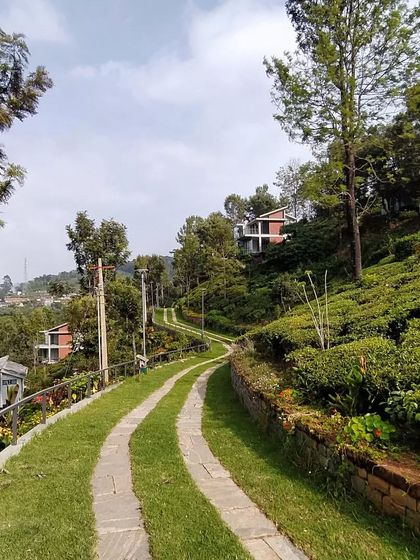 A winding path with grass tracks leading through the VAY property in Hulical. We design landscapes to be as gentle on the earth as our buildings, using natural contours and permeable surfaces.