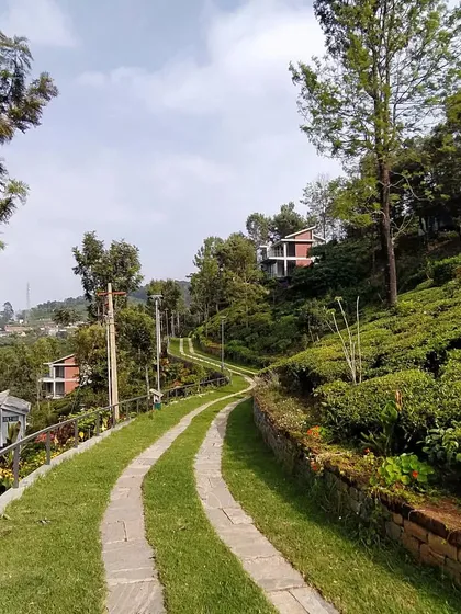 A winding path with grass tracks leading through the VAY property in Hulical. We design landscapes to be as gentle on the earth as our buildings, using natural contours and permeable surfaces.