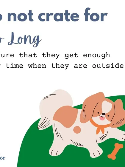 Do not leave your puppy in the crate for too long, especially when they are young. Always ensure they get plenty of playtime and potty breaks when they are out.