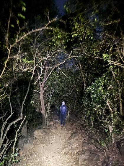 Weekend & Beginner Hikes photo 22