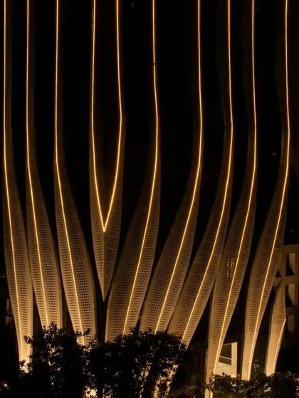 ID Origins: A Calligraphic Revitalization photo 10