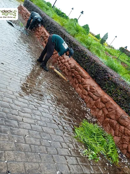 Our team works diligently to maintain clean and tidy pathways at a commercial property during the monsoon season, ensuring both safety and aesthetics.