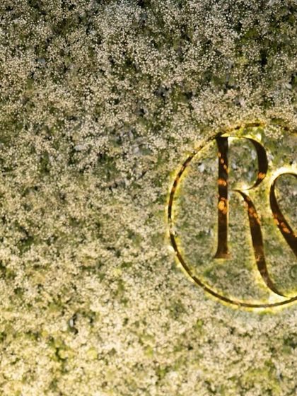 Wedlock Weddings - Full-Service Wedding Planning & Design Modern & Minimalist Designs photo 34