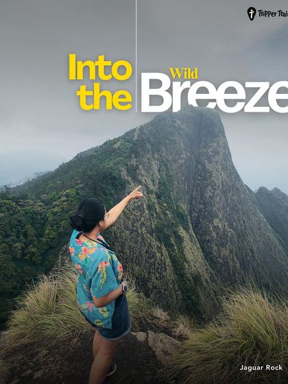 Into the wild breeze. A woman points towards Jaguar Rock in Munnar, a stunning viewpoint that offers breathtaking views of the surrounding hills.