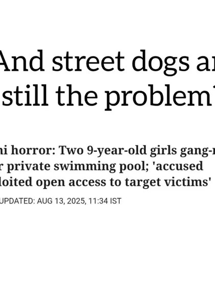 While the nation is horrified by news of child rape, some people are still debating if street dogs are the real problem. This is the hypocrisy I fight against.