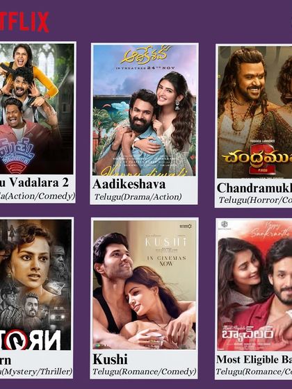 A mix of action, comedy, romance, and mystery from Netflix, featuring popular Telugu and Kannada films.