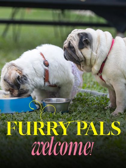 Furry pals are always welcome. Here, two friends are getting acquainted over a bowl of deliciousness from our pet menu.