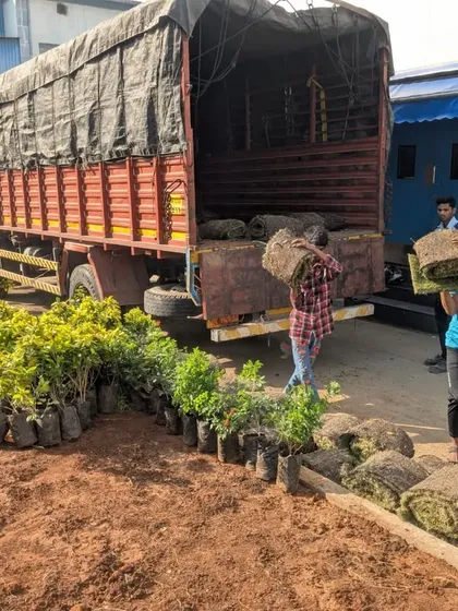 All materials arrive on site. Our crew unloads rolls of fresh turf and saplings from the truck, ready for a full day of installation and plantation work.