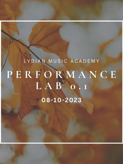 A duplicate graphic for "Performance Lab 0.1."