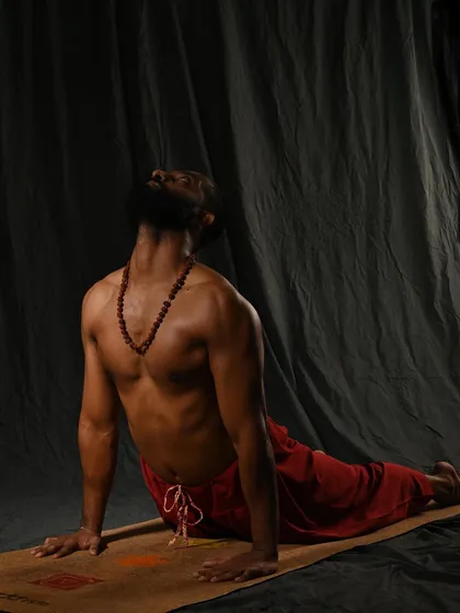Urdhva Mukha Svanasana (Upward-Facing Dog), a powerful backbend that is a key component of Surya Namaskar (Sun Salutation). This pose strengthens the spine, opens the chest and lungs, and stimulates the abdominal organs.