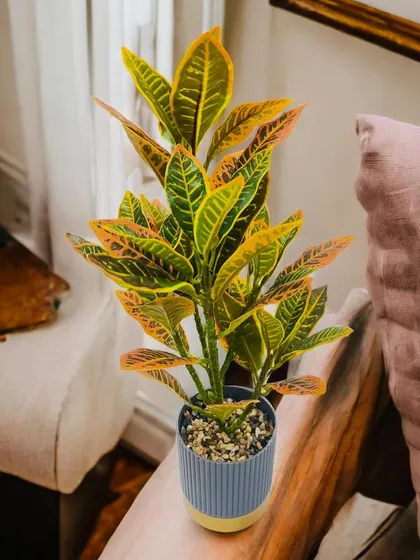 This tabletop artificial croton plant shows the realistic detail in my smaller decor items. The variegated yellow and green leaves bring a pop of color to any desk, shelf, or side table, offering the look of a live plant with zero effort.