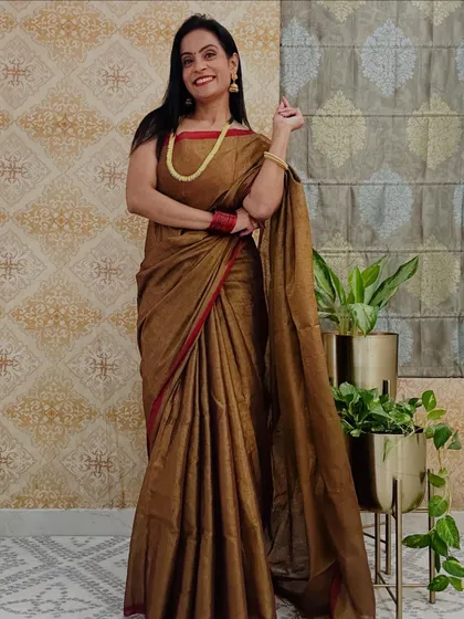 A beautiful brown tissue saree with a simple red border. The earthy tone and subtle shine make it a very unique and sophisticated piece.
