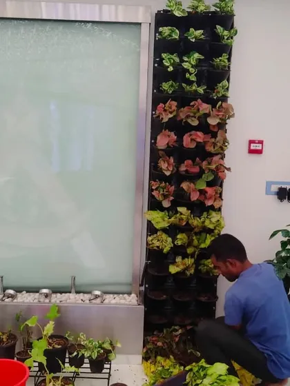 Here you can see one of our team members carefully installing a modular vertical garden system. We handle the entire process, from selecting the right plants for the light conditions to ensuring the structure and irrigation are set up for long-term success.