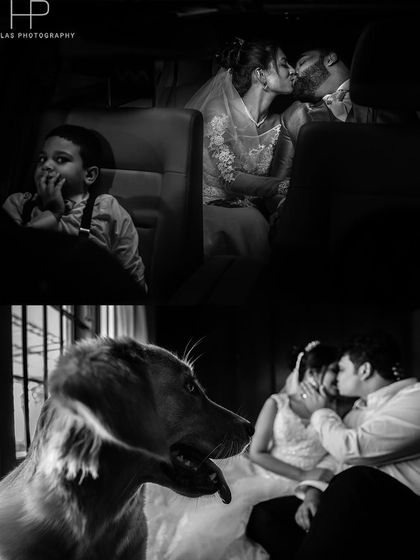 A fun collage showing that even kids and pets are intrigued by the couple's romantic moments.