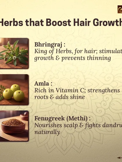 The power of my products comes from nature. This graphic shows some of the key herbs I use for hair health, like Bhringraj, known as the 'king of herbs' for hair, which stimulates growth and prevents thinning.