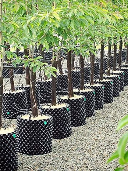I use modern techniques like these air-pots for growing healthy trees. They help the roots grow strong, which means the plant will be healthier when I install it in your garden.