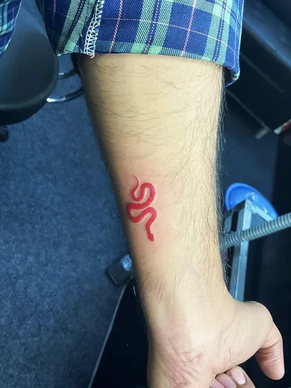 A simple, minimalist snake in red ink. Snakes are powerful symbols of rebirth, transformation, and healing.