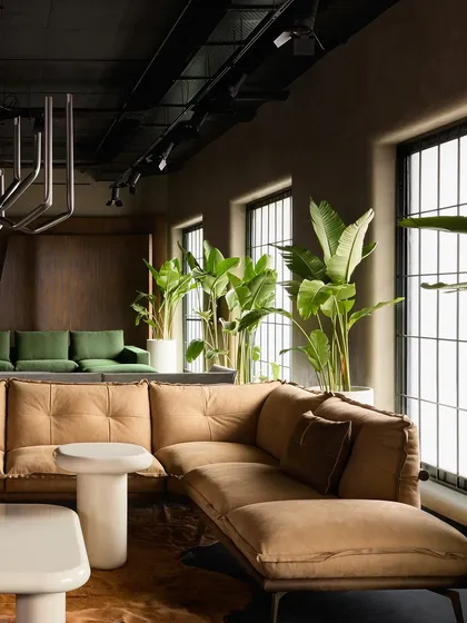 The comfortable, deep-seated tan sofa is positioned to take advantage of the light from the large windows, with lush plants adding a touch of nature.