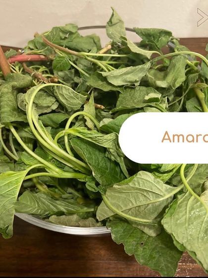 Amaranth leaves are a nutritional powerhouse for thyroid patients. They are rich in iron, calcium, and vitamins that help combat fatigue and support bone health.