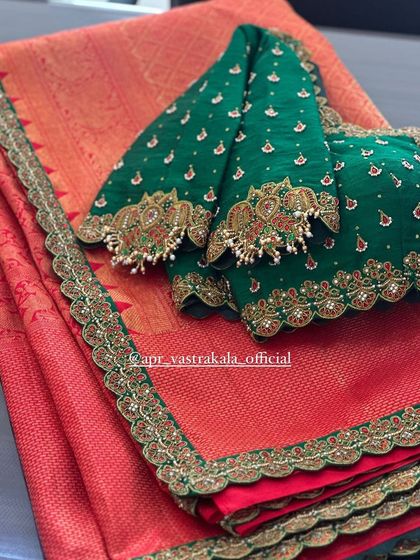 The full blouse and saree combination, showing how the embroidered border complements the blouse.