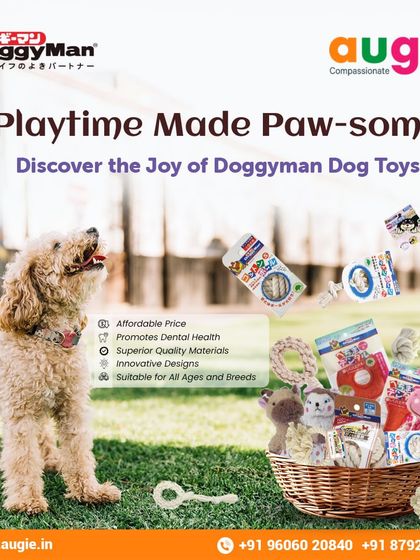 Augie Pets - Pet Supplies Playtime & Cozy Comforts photo 16