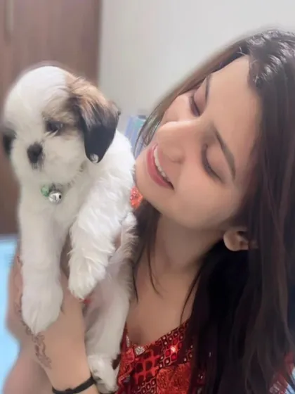 Seeing the joy our puppies bring to their new homes is our greatest reward. Here is a happy client with her new tri-color Shih Tzu, a perfect match. We ensure every puppy finds the right loving family.