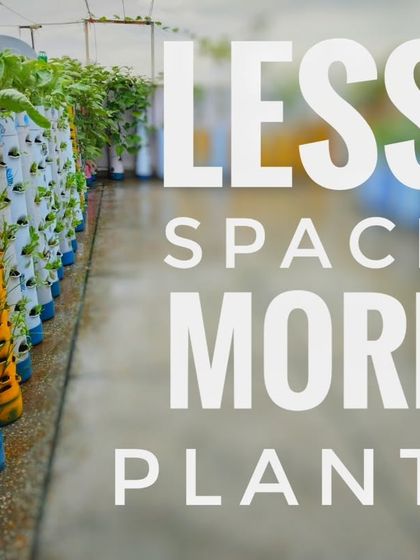 Less space, more plants. This is the promise of vertical gardening. My towers are designed to make the most of every square foot you have.