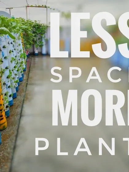 Less space, more plants. This is the promise of vertical gardening. My towers are designed to make the most of every square foot you have.