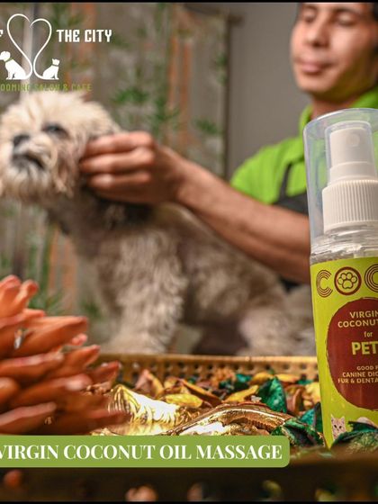 Tails of the City - Pet Spa & Creative Styling The Ultimate Spa Experience photo 14