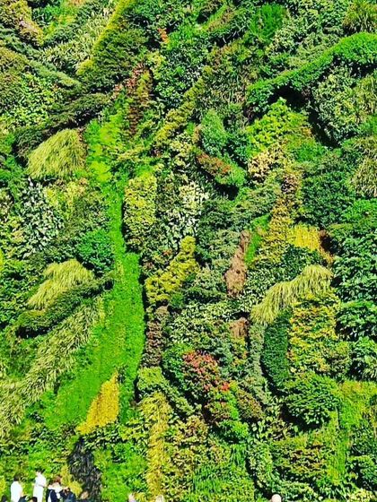 An example of a very large-scale vertical garden covering an entire building. The varied textures and shades of green create a massive, living piece of art.