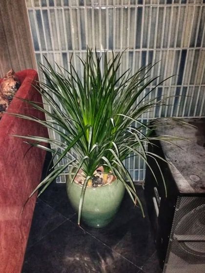 Hospitality & Commercial Spaces photo 14