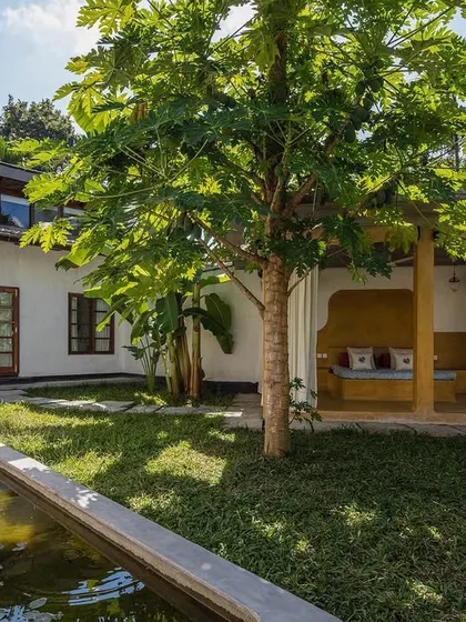 The Garden Suite's private courtyard, featuring a lily pond and an outdoor daybed. This space is a completely private outdoor room for guests to enjoy.