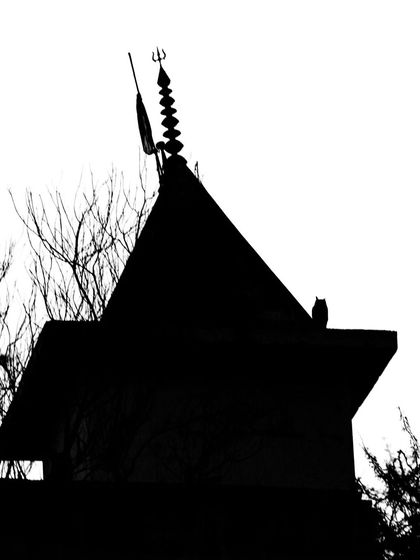 A silhouette of an Indian Eagle Owl perched atop a temple, a serene image that combines cultural landmarks with urban wildlife.