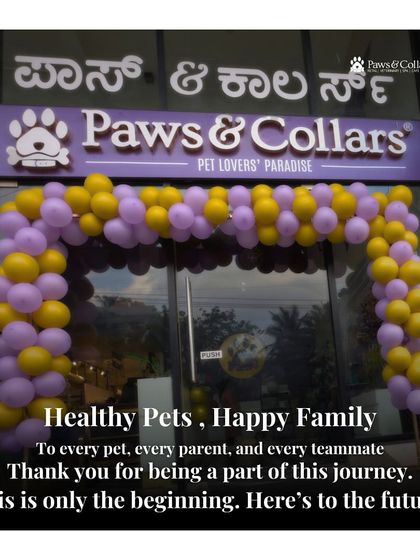 PawsnCollars - Veterinary Care Our Story & Our Team photo 8