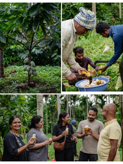 Our Chocolate Immersion course is a true bean-to-bar journey. We take our students to a cocoa farm in Mysore to understand the origins, harvesting, and initial processing of cacao before they ever step into the kitchen. This is how you truly learn the craft of a chocolatier.