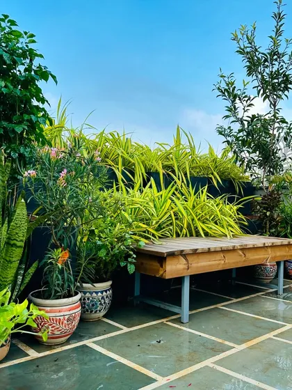 A simple wooden bench surrounded by a riot of green. This terrace corner in Delhi shows how a mix of plant heights, textures, and colors in pots and planters can create a vibrant, jungle-like feel, perfect for a quiet moment.