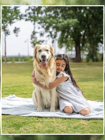 A big hug for a best friend. This heartwarming shot shows a young girl wrapping her arms around Gundu the Golden Retriever in a beautiful park setting. It’s a perfect portrait of the unconditional love between a child and her dog.