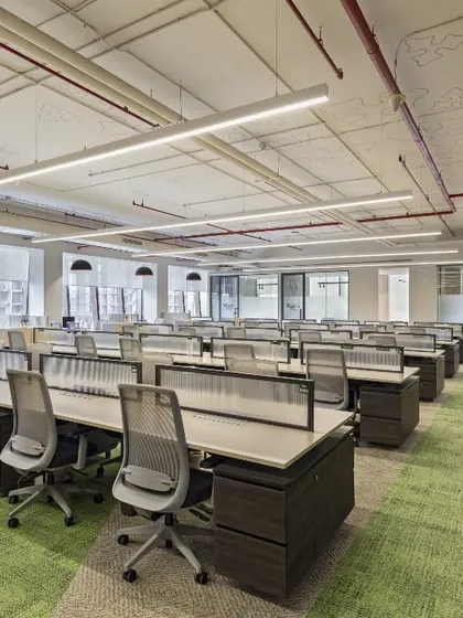 An open-plan office with rows of workstations designed for collaboration and focus. The green carpet and ample natural light contribute to a healthy and productive atmosphere.