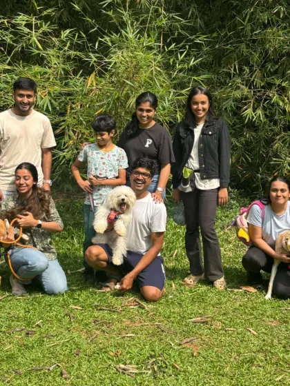 A successful socialization session is not about a chaotic free-for-all. Here, we are practicing engagement with parents and calm neutrality in the presence of other dogs, which are the foundational skills for good social behavior.