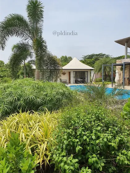 From behind a screen of lush foliage, the pool and cabana feel like a secret discovery. We use layered planting to create a sense of mystery and depth in our garden designs.