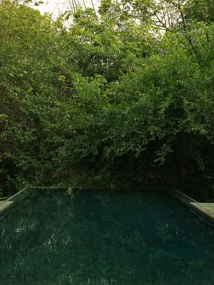 The infinity pool viewed from the side, showing its clean lines and the dense forest that provides complete privacy.