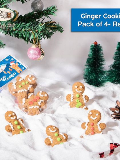 Christmas & Holiday Specials photo 25