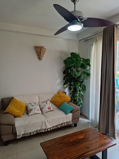 Even a simple corner can become a green oasis. A large indoor plant like this money plant is easy to maintain and provides more oxygen than several smaller ones, making it a great investment for your home.