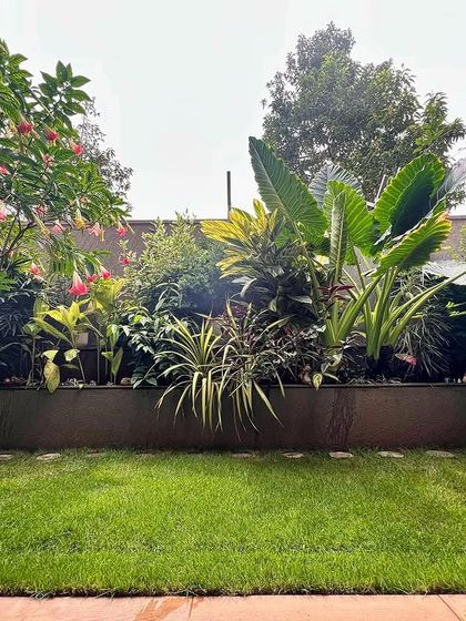 A view of the lush lawn and the dense garden bed behind it. The variety of plants creates a rich tapestry of colors and textures, making the garden feel like a private jungle.