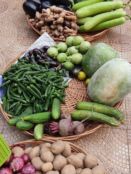 A variety of gourds, okra, beetroot, and potatoes arranged in baskets, ready for customers.