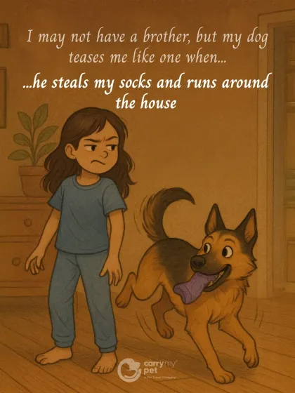 CarryMyPet - Pet Travel & Parenting Consultation The Heart of a Pet Parent photo 17