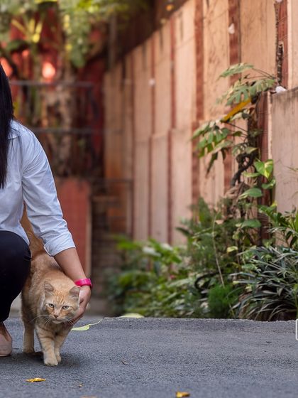 A sweet moment with the community cat, Mushi, who was an important part of the neighborhood family in this special "moving out" photoshoot.